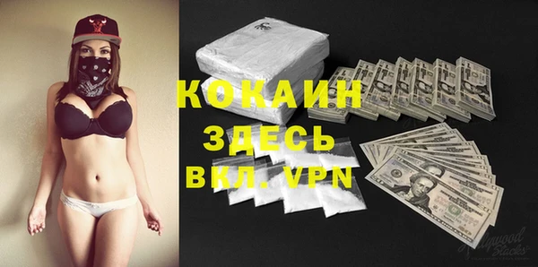 молекула духа Магадан