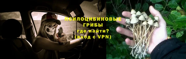 молекула духа Магадан