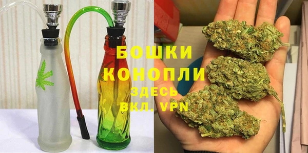 молекула духа Магадан