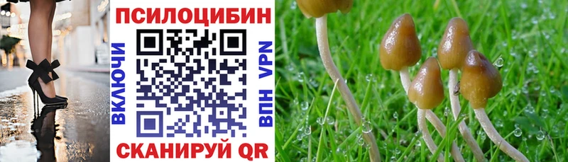 Галлюциногенные грибы прущие грибы  закладки  Комсомольск-на-Амуре 